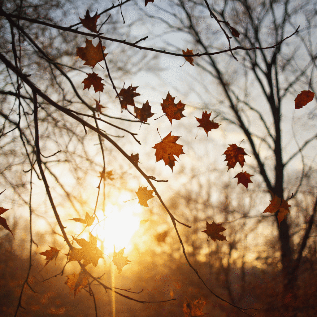 gen 4 autumn leaves falling slowly, seasons of change, time healing, natural cycles, acceptance.png (1)